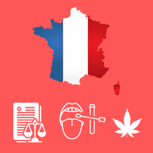 Cannabis en France : Lois, Tests Salivaires, Effets et Bienfaits Thérapeutiques